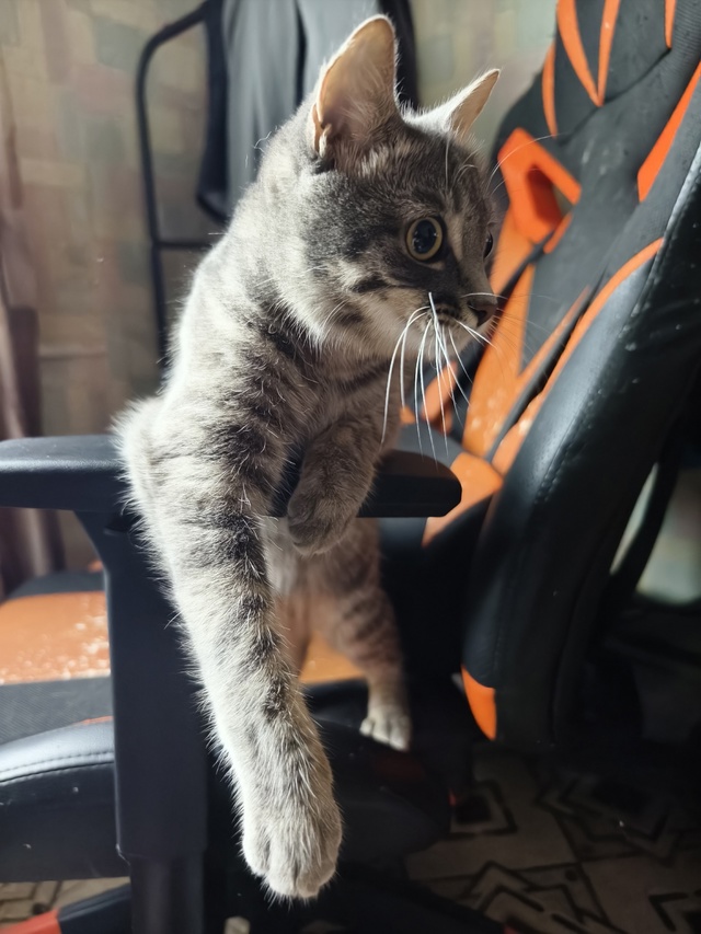 Евочка💖