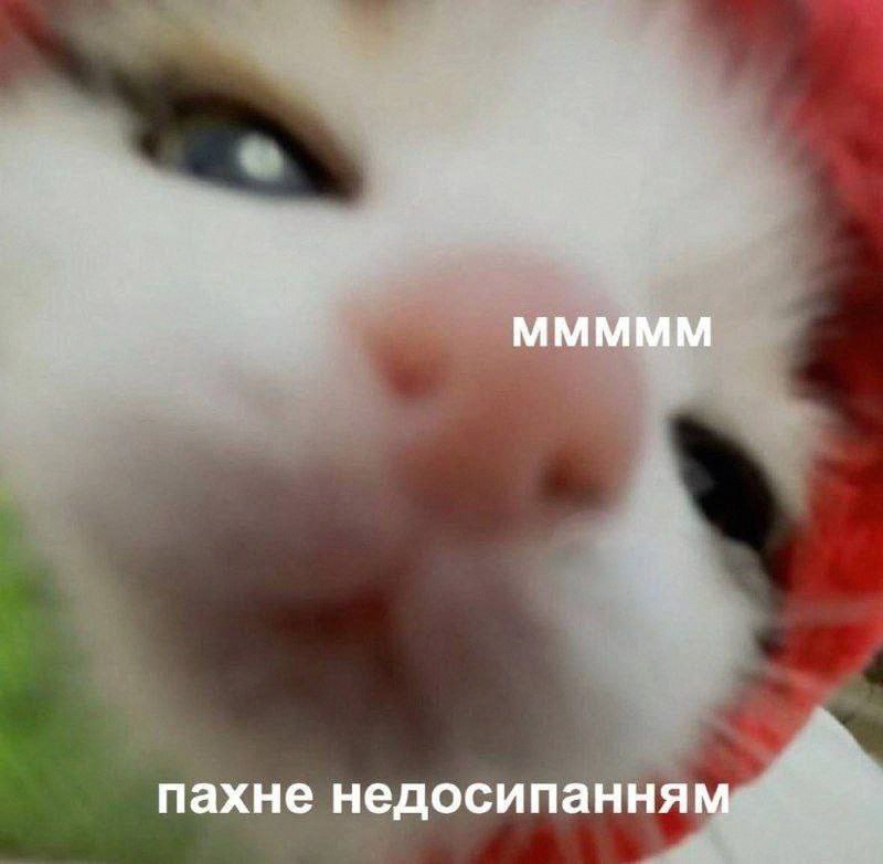 Утренняя подборочка