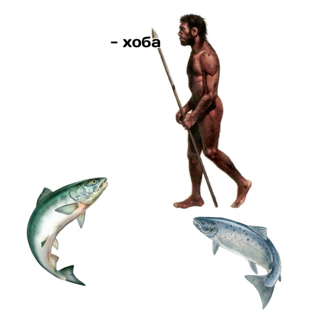 Эволюция, бессердечная ты стерва