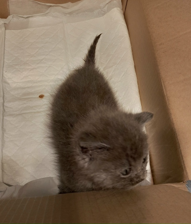 Друзья!
Мы все еще пытаемся насобирать денежку на пога...