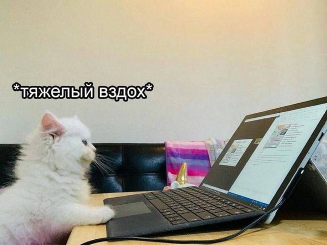 С 27 октября по 1 ноября нас ждет шестидневная рабочая н?...