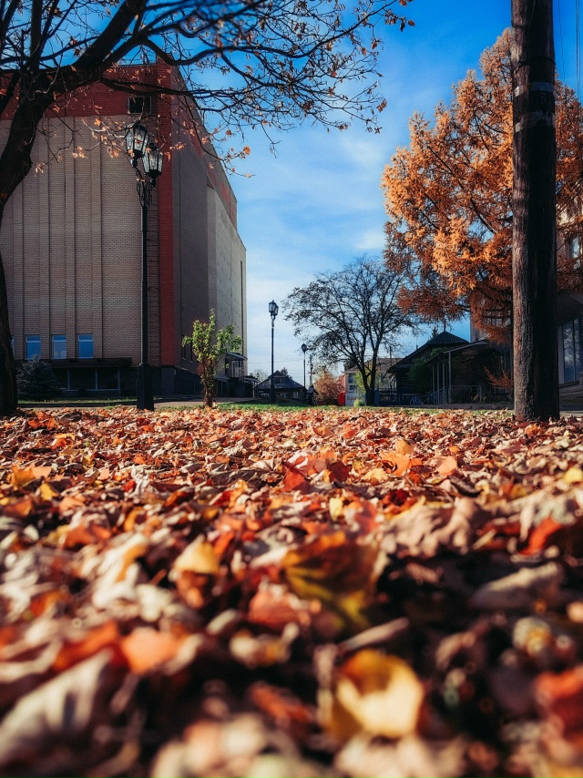 Продолжаем наблюдать нашу Воскресенское золотую осен?...
