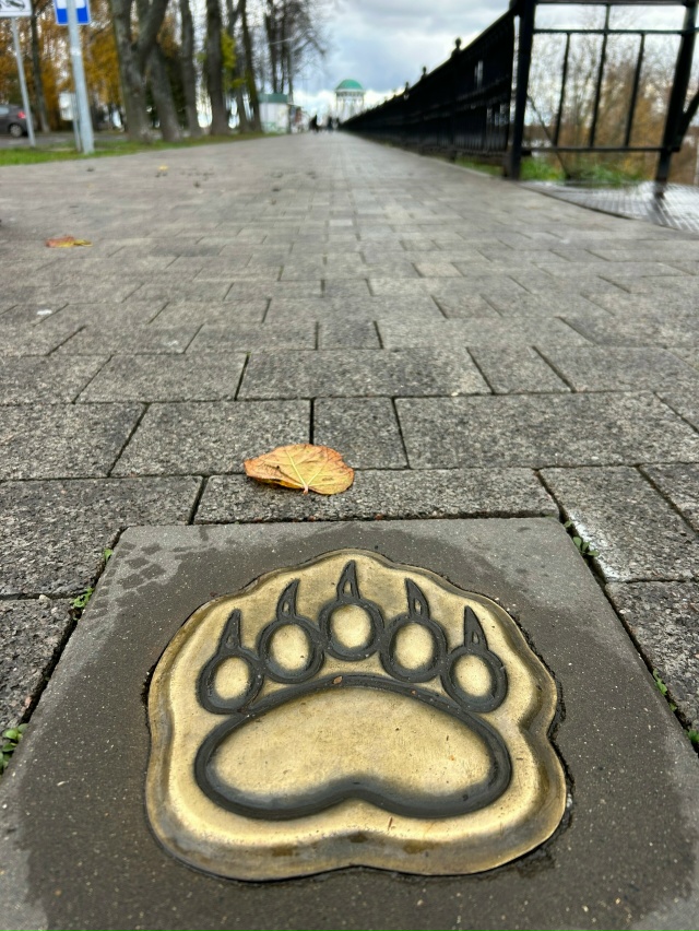 Осенняя прогулка 🍂 Ярославль ❤️