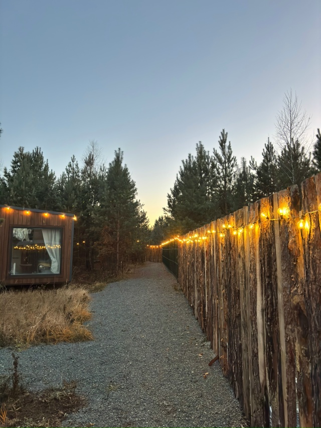 Добро пожаловать в глэмпинг В СОСНАХ 🌲
[id1083713020|В Сосна...