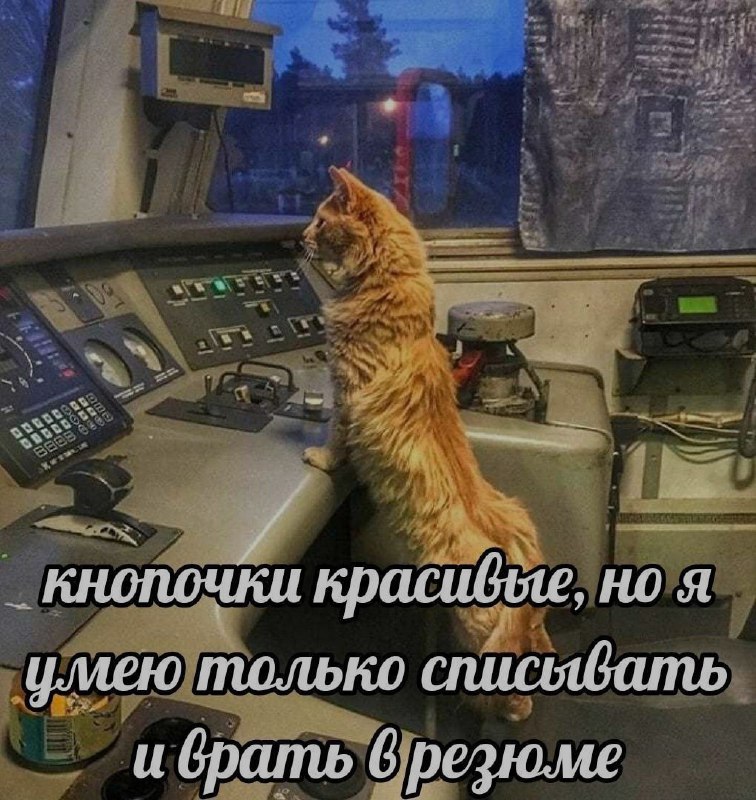 Ночная подборочка
Спать, режим