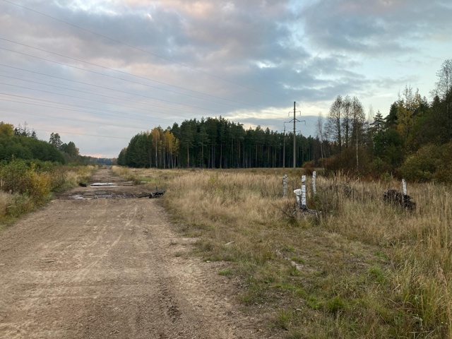 Найдена 