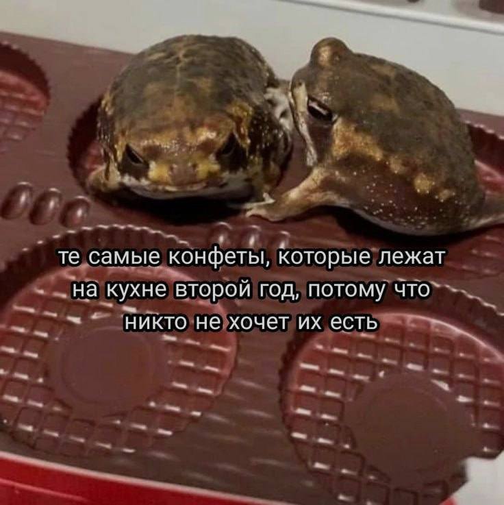 они для папы
