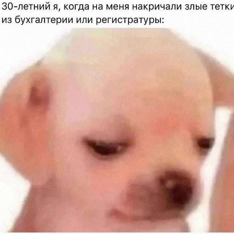 Утренняя подборочка