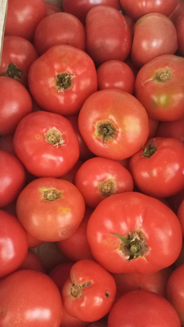 🔥Предлагаем вашему вниманию продукцию местных бахче?...