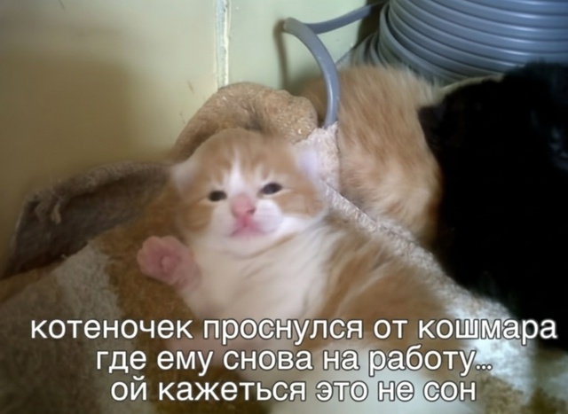 Вот и утречко настало