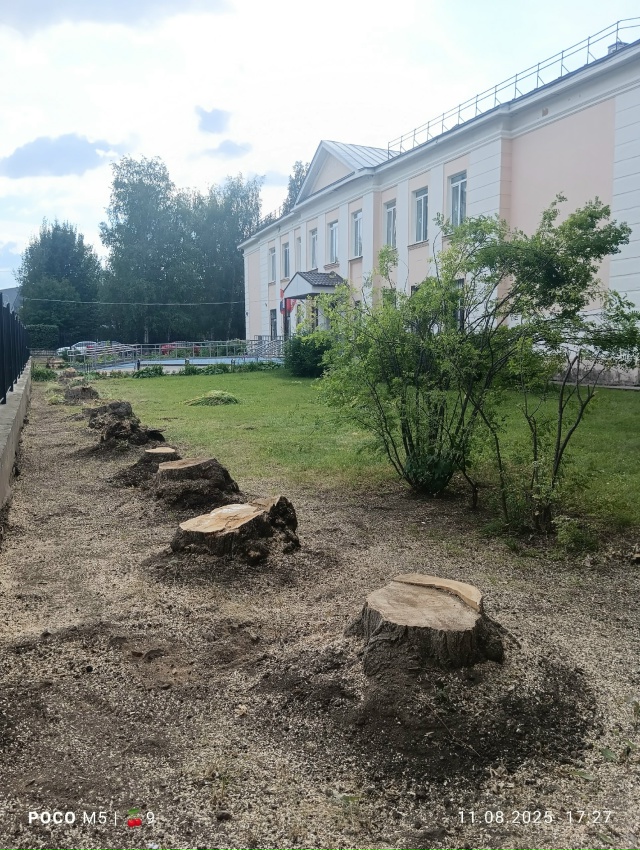 Во дворе школы 