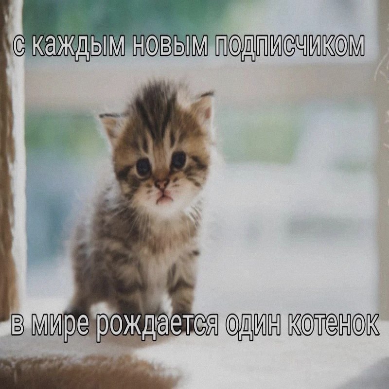 Ночная подборочка
Спать, режим