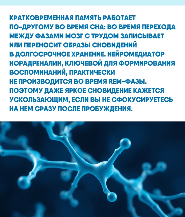Забвение снов — естественный результат особенностей ?...