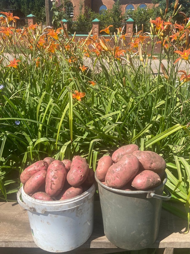 Продается свежая картошка 🥔. Нового урожая
1кг-50р
Ведр...