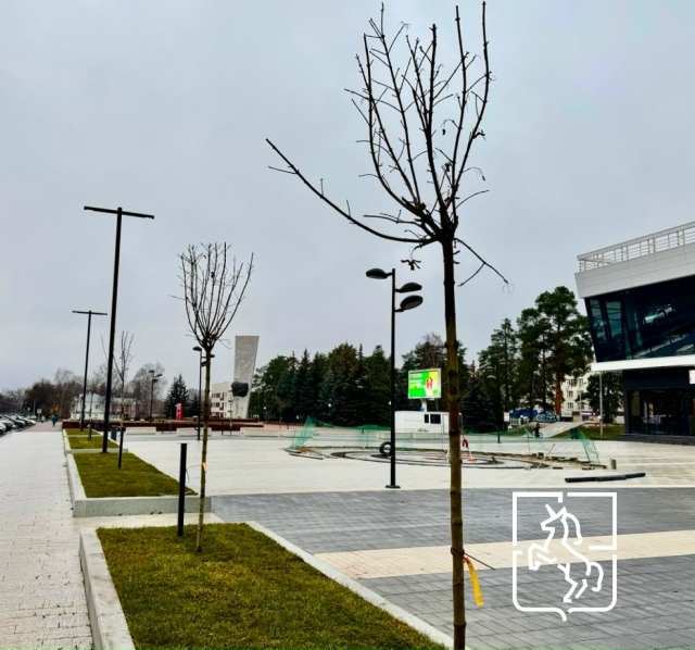 🌳🍀На объектах благоустройства этого года в Выксе на?...