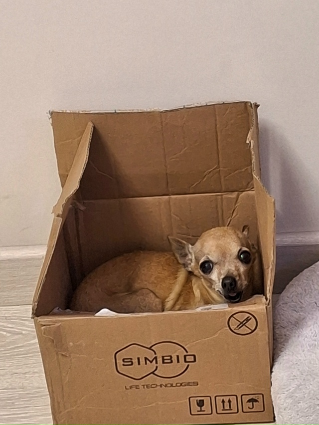 Сегодня возле подземного перехода у ЖД вокзала найден ...