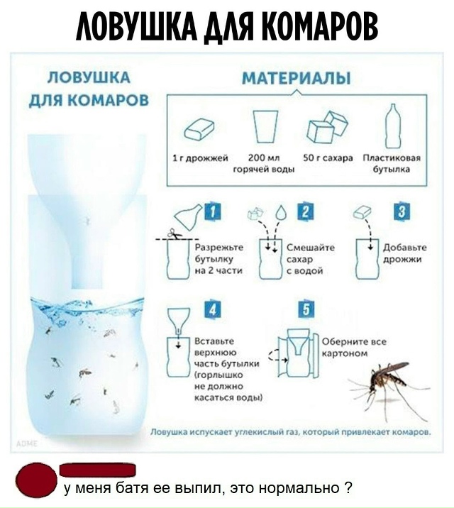 Безумные приколы