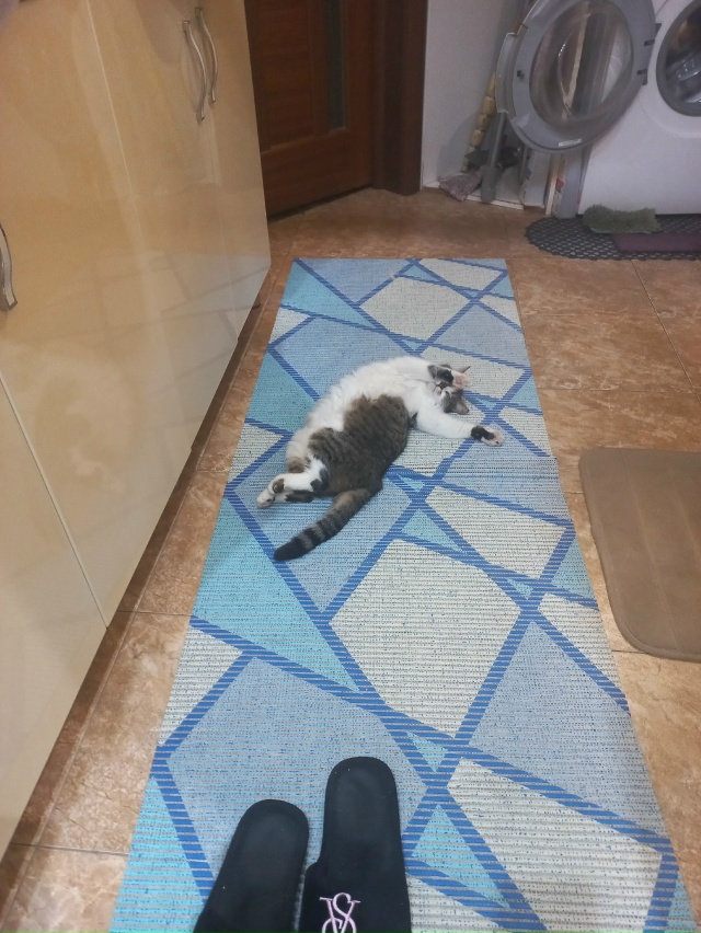 А-ля Айседора Дункан 💃🏻
Очень тонко)