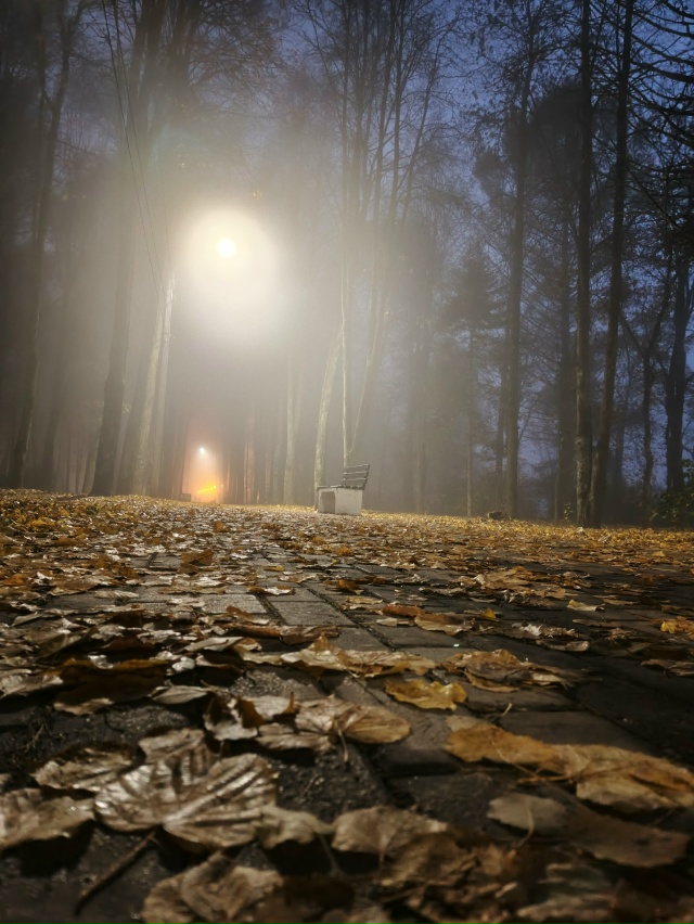 Эх золотая , туманная осень 🍁