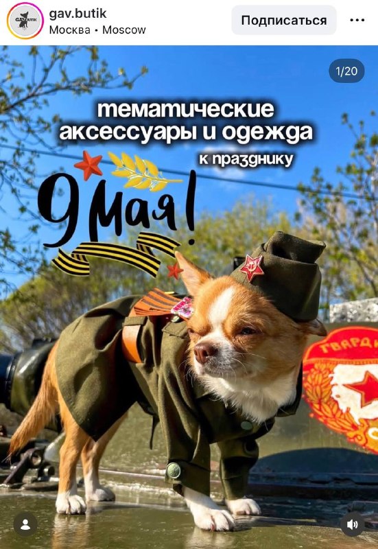 Готовьтесь умиляться: московский магазин для питомцев представил тематические аксессуары и одежду дл