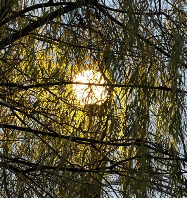 Набережная Спутника и в наступивших сумерках хороша!???...