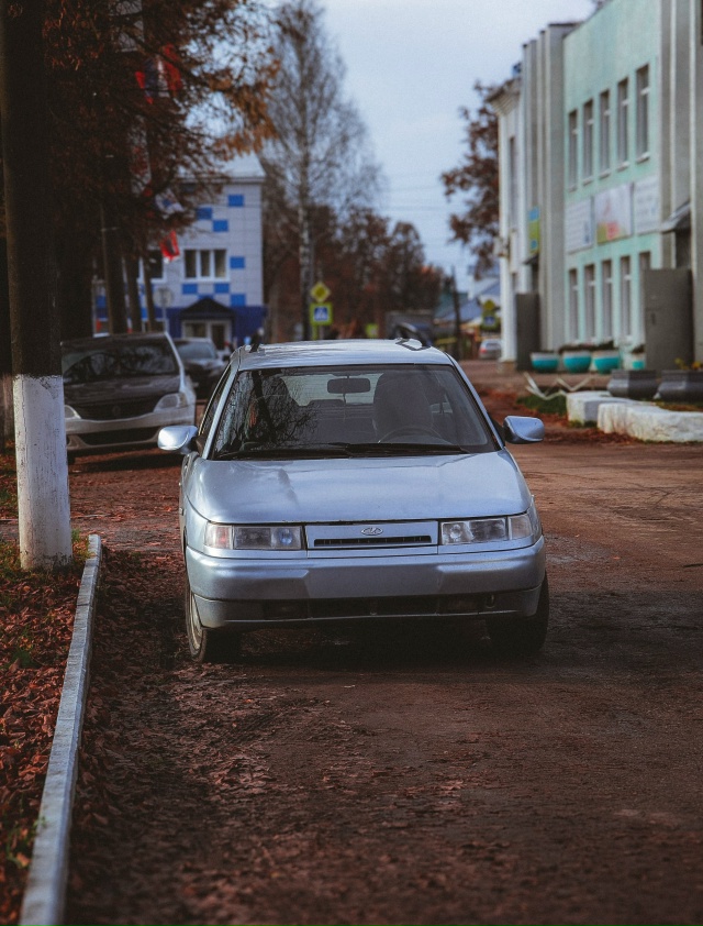 Очень- осень...
Google Pixel 7 Pro (Lightroom)
#мобильнаяфотография #м...