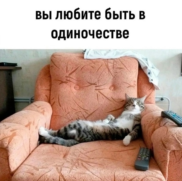 Я точно в душе кот