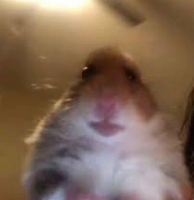 Нет особого желания