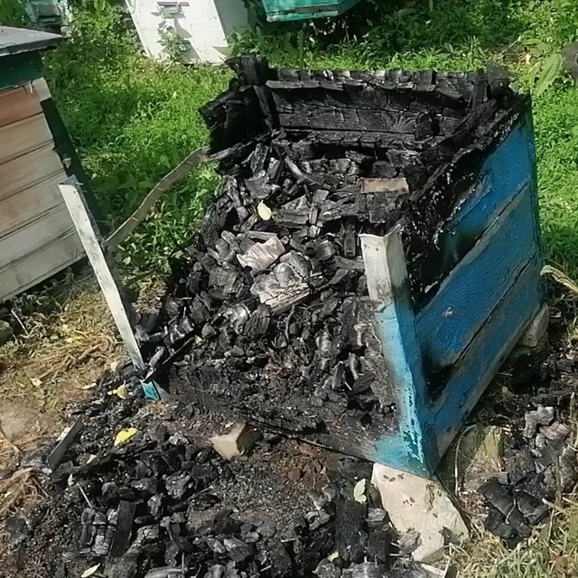 ‼️В Рогнедино женщина подожгла пасеку соседа
Поджиг?...