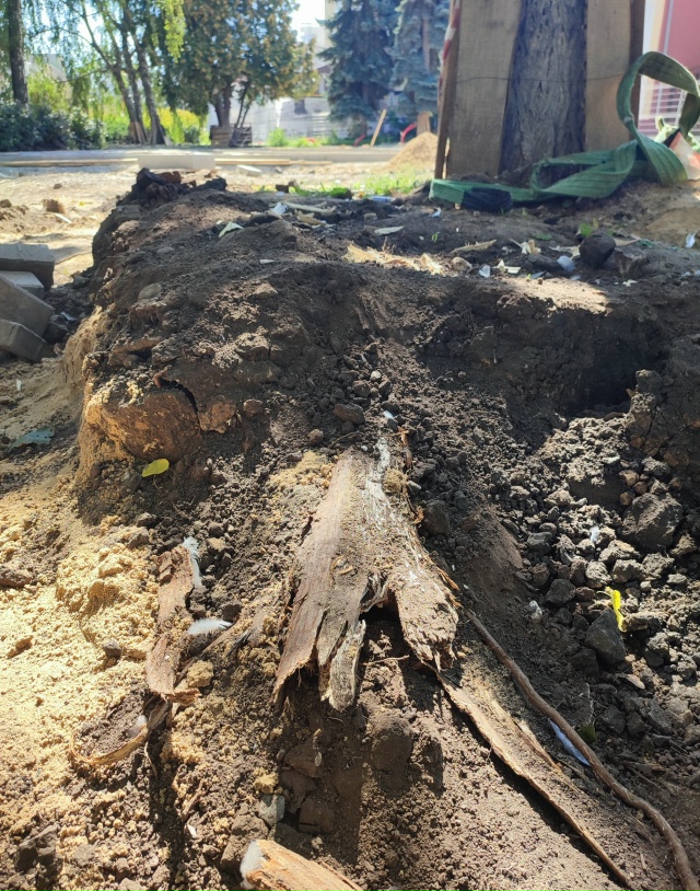 Все лето и осень в Воронеже во время ремонта бульвара К...