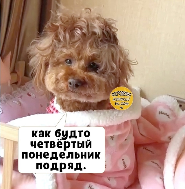 Четверг - это малeнькая пятница.