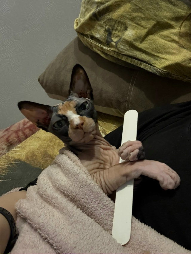 Пилила коготочки и всралась