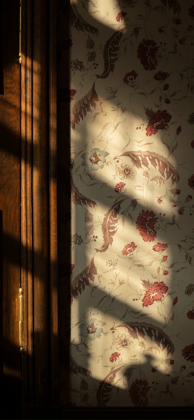 Заставки для ваших телефонов / декабрь 🎄
Источник peterh...