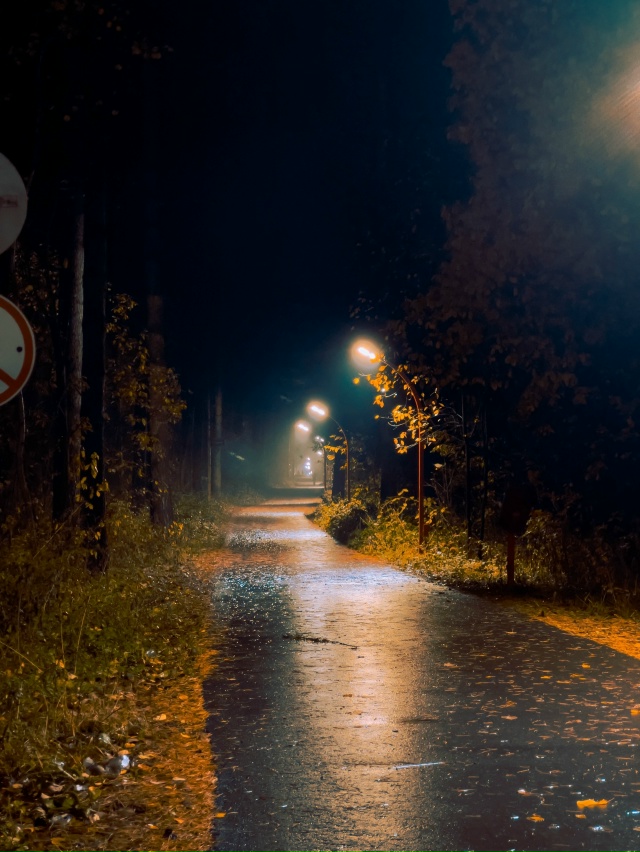 Всем спокойной ночи 😴🌙