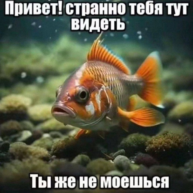 Утренняя подборочка