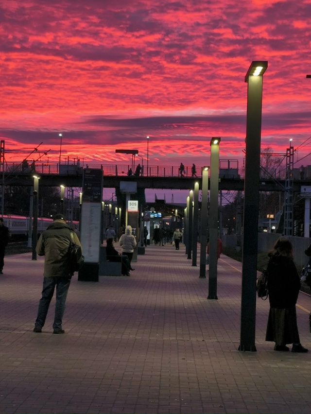Утро на станции Удельная 😍
фото: Наталья Кондакова