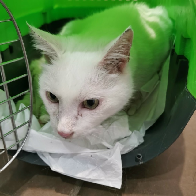 Друзья!
Мы все еще пытаемся насобирать денежку на пога...