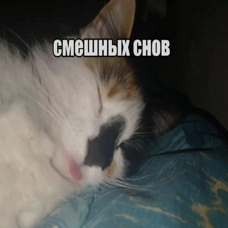 Ночная подборочка
Выходные, не спим