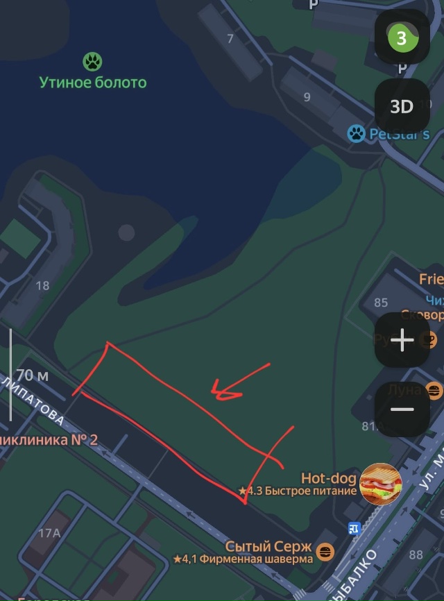 На Липатова бегает очень ласковая и молодая кошечка, п?...