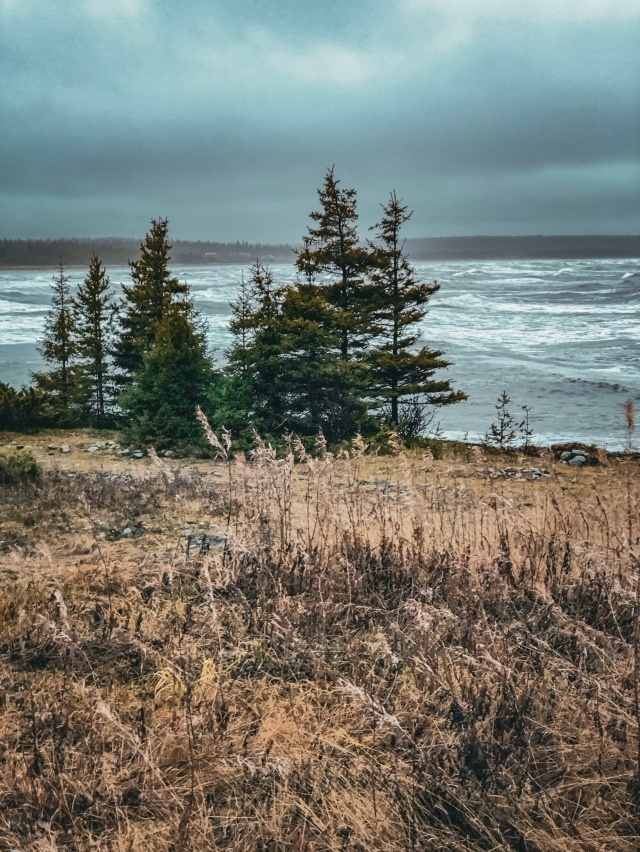 Терский берег в ноябре на фото Ольги Несмияновой❤