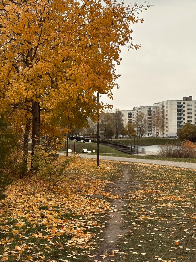 Осенний Нефтекамск 🍁