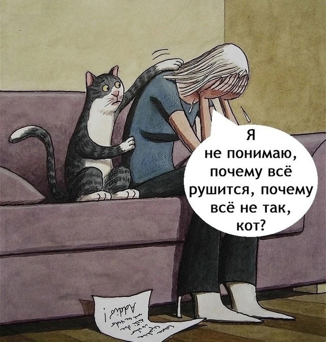 Мудрый котик)
