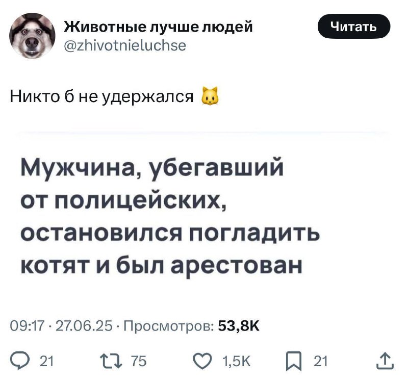 Попался в мимишную ловушку.