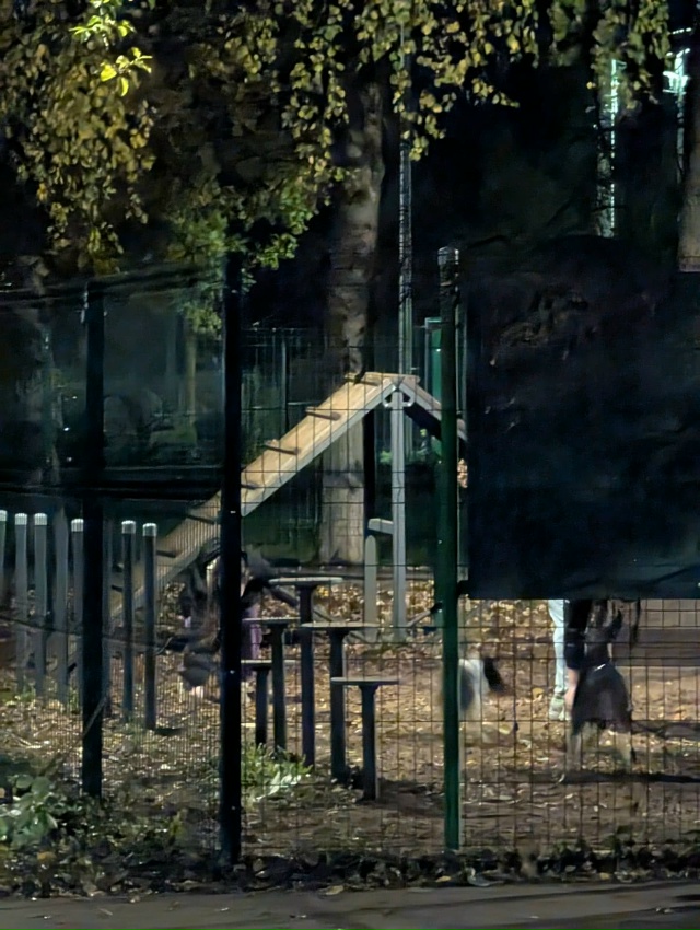 Здравствуйте!
Я хочу вновь выразить благодарность дет...