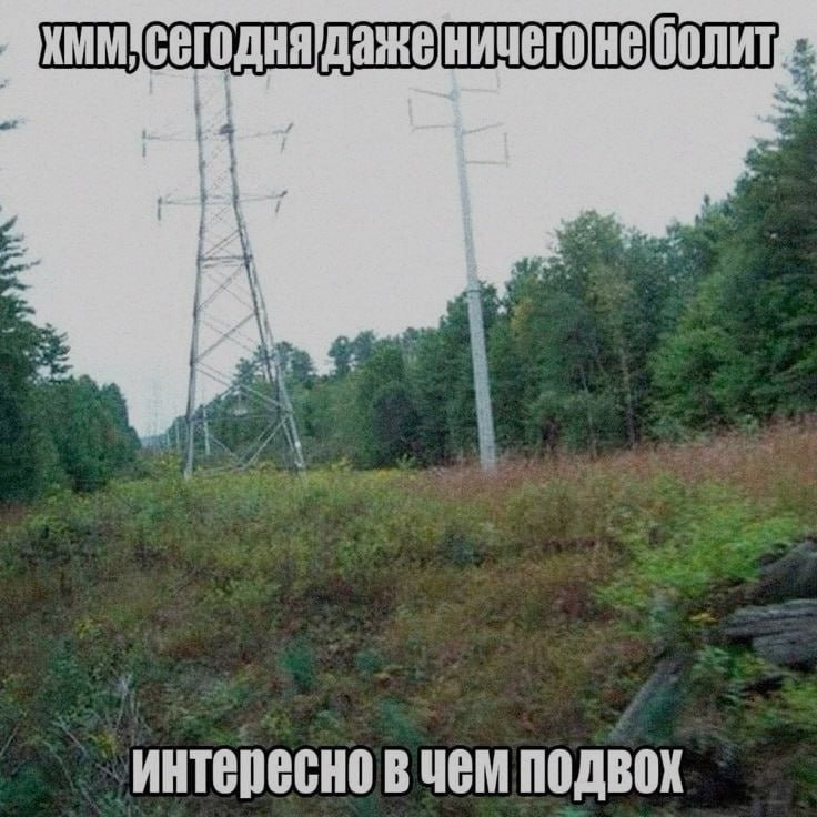 Ночная подборочка
Выходные, не спим