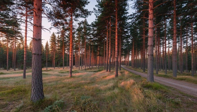 💬 Многие россияне не отличают ИИ-контент от настоящег...
