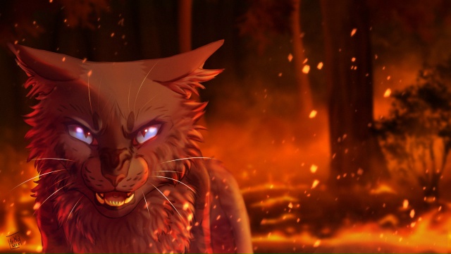 «Я хочу, чтобы тебе было так же больно, как и мне»
Уголё...