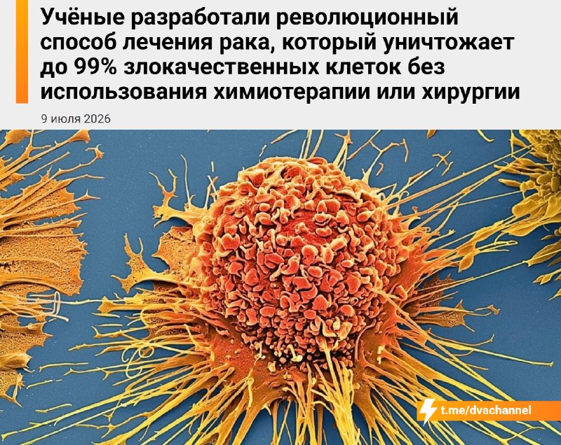 ❗️Учёные из Техаса разработали новый способ лечения рака — он уничтожает до 99% злокачественных клет