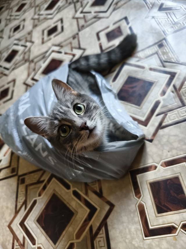 Евочка💖