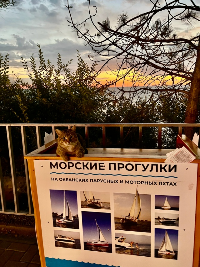 Котик в Анапе приглашает на морские прогулки ?